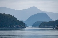 In Glacier Bay National Park