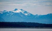 In Glacier Bay National Park