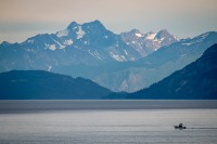 In Glacier Bay National Park
