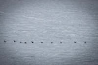 In Glacier Bay National Park