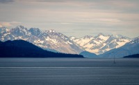 In Glacier Bay National Park