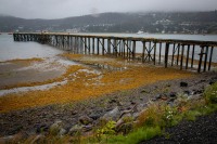 In Juneau