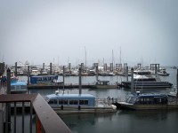 In Auke Bay/Juneau