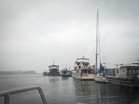 Whale Watching boat in Auke Bay/Juneau