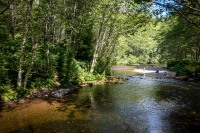 Ketchikan Creek