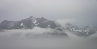 In Kenai Fjords National Park