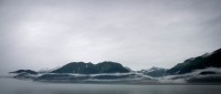In Kenai Fjords National Park