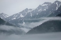 In Kenai Fjords National Park
