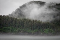 In Kenai Fjords National Park