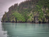 In Kenai Fjords National Park