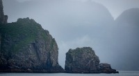 In Kenai Fjords National Park