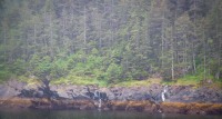 In Kenai Fjords National Park