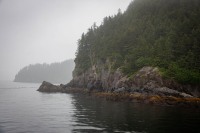 In Kenai Fjords National Park
