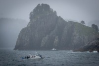 In Kenai Fjords National Park