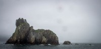In Kenai Fjords National Park
