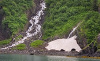 In Kenai Fjords National Park