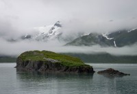 In Kenai Fjords National Park