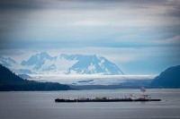 In Glacier Bay National Park