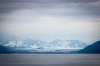 In Glacier Bay National Park