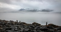 Morning in Seward