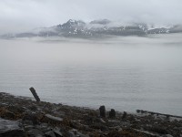 Morning in Seward