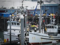 Seward Harbor