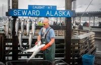 Seward Harbor
