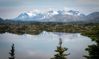At Lake Tutshi in British Columbia