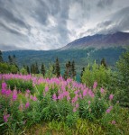 At Lake Tutshi in British Columbia