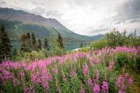 At Lake Tutshi in British Columbia