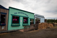 At Caribou Crossing in Carcross, Yukon