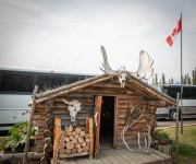 At Caribou Crossing in Carcross, Yukon
