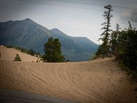 Carcross Desert in Yukon