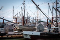 At the Gulf of Georgia Cannery in Richmond, British Columbia