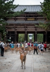 Nandaimon Gate at Todai-ji in Nara