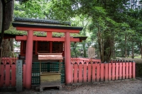 Approach to Kasuga Taisha in Nara