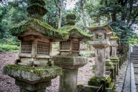 Approach to Kasuga Taisha in Nara