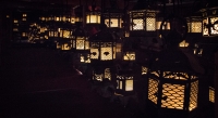 Lit lanterns at Kasuga Taisha in Nara