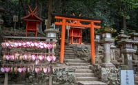 At Kasuga Taisha in Nara