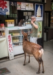 In Nara
