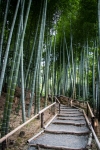 At Kodai-ji Temple in Kyoto