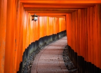 At Fushimi-Inari Taisha in Kyoto