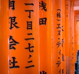 At Fushimi-Inari Taisha in Kyoto
