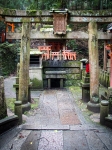 At Fushimi-Inari Taisha in Kyoto