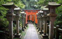 At Fushimi-Inari Taisha in Kyoto