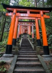 At Fushimi-Inari Taisha in Kyoto