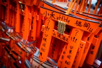 At Fushimi-Inari Taisha in Kyoto