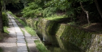 Along the Path of Philosophy in Kyoto