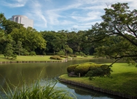 Rikugien Gardens in Tokyo
