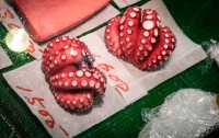 At Tsukiji Fish Market